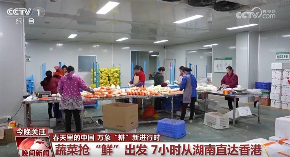 广州医院连续三年植树缅怀，见证生命新生奇迹，春天中国多地植树添绿，守护生态家园