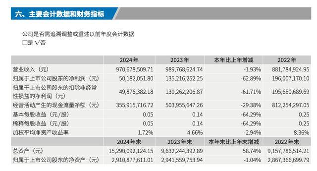 立新能源2024年报：利润大降，应对策略能否奏效？