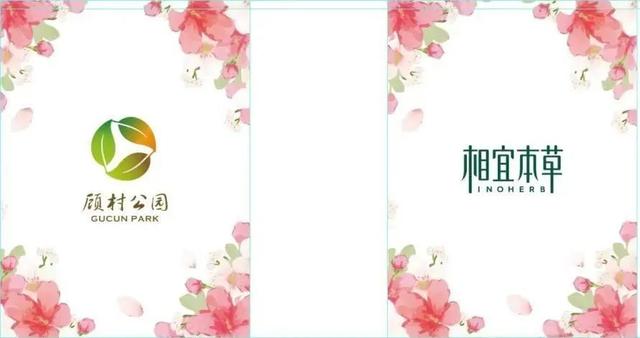 宝山区顾村公园樱花节，特色消费品惊艳登场，春日宝山区顾村公园：樱花邂逅宝藏好物