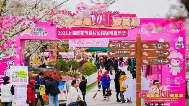 四月上海，顾村公园樱花与咖啡的浪漫邂逅，樱花咖啡相融合，顾村公园打造文旅体商跨界盛事