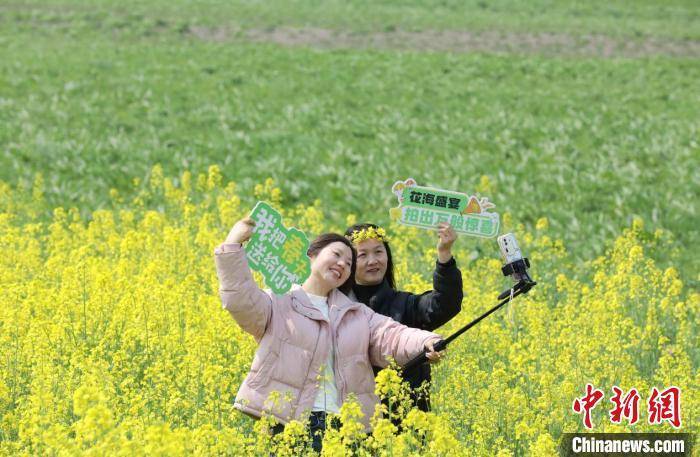 江西彭泽棉船镇：油菜花铺就春日“黄金盛景” 踏春彭泽棉船镇，油菜花里邂逅惬意春光与经济活力