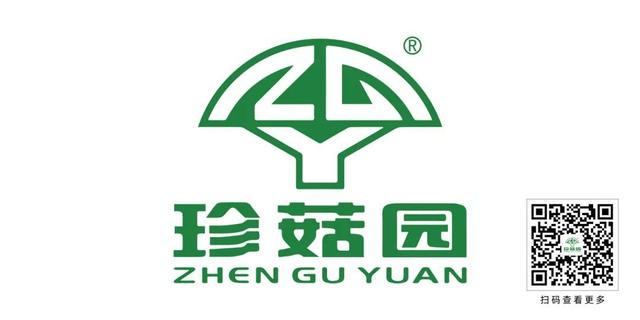 宝山区顾村公园樱花节，特色消费品惊艳登场，春日宝山区顾村公园：樱花邂逅宝藏好物