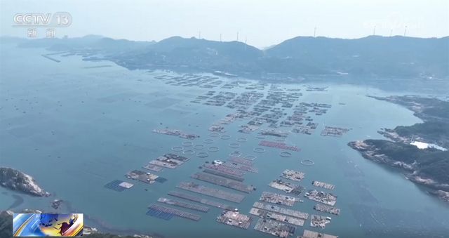 春播进行时：从贵州土豆到福建鲍鱼的农业盛景，春播正当时，各地农业生产活力足