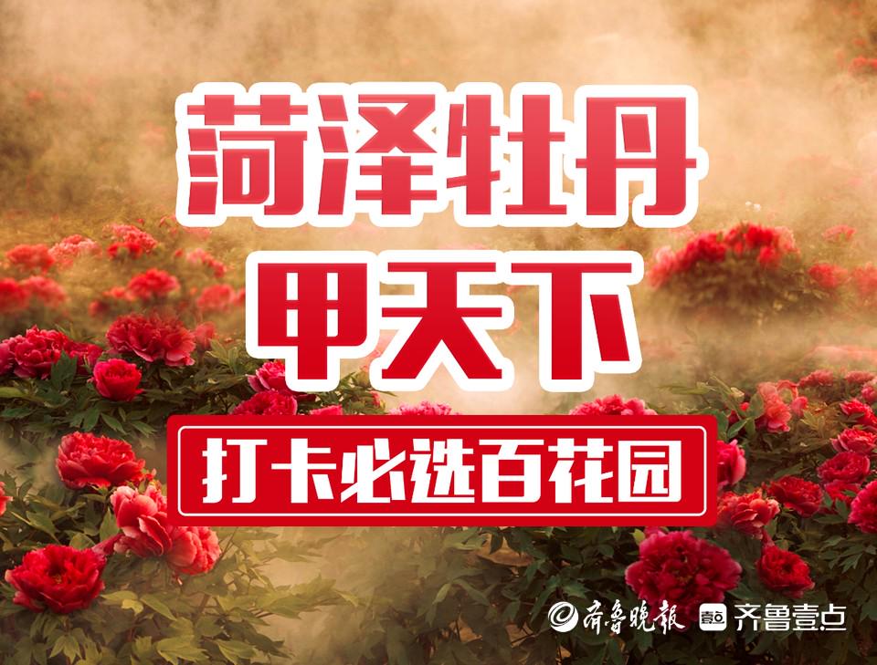 曹州百花园牡丹节招商，携手共赴财富盛宴