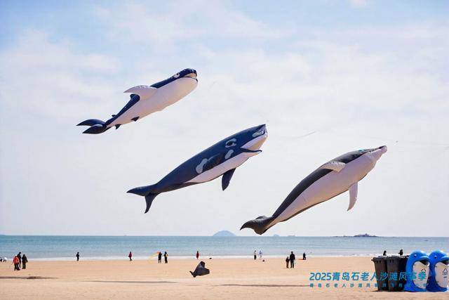 青岛石老人沙滩风筝季，亲子欢乐之旅开启！