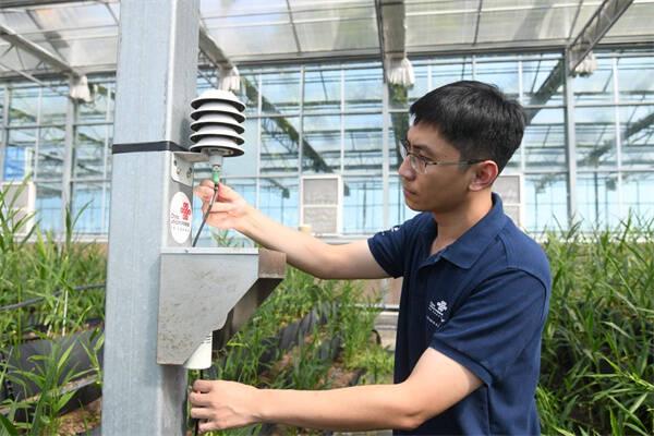 潍坊联通：党建红辉映数字蓝，赋能各领域发展新征程，潍坊联通：党建铸魂，数智画笔绘就发展新画卷