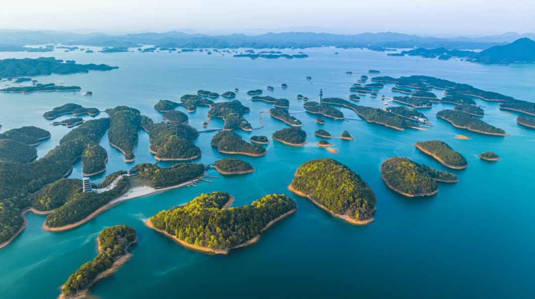 3月21日喜讯：庐山西海获黑松露奖年度投资潜力大奖