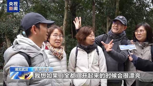 今年武大赏樱有新变化，一起去看看！，武汉大学樱花季，志愿服务增添赏樱新乐趣