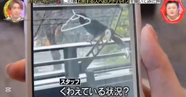 月曜夜未央恶意剪辑风波：中国女生发声，日本电视台道歉难平众怒