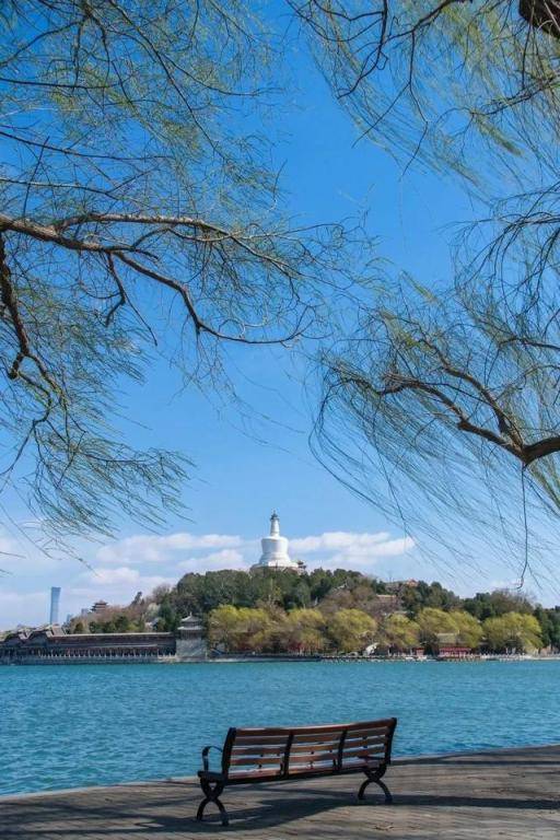 5. 北京春日打卡指南：花景与国潮的双重诱惑