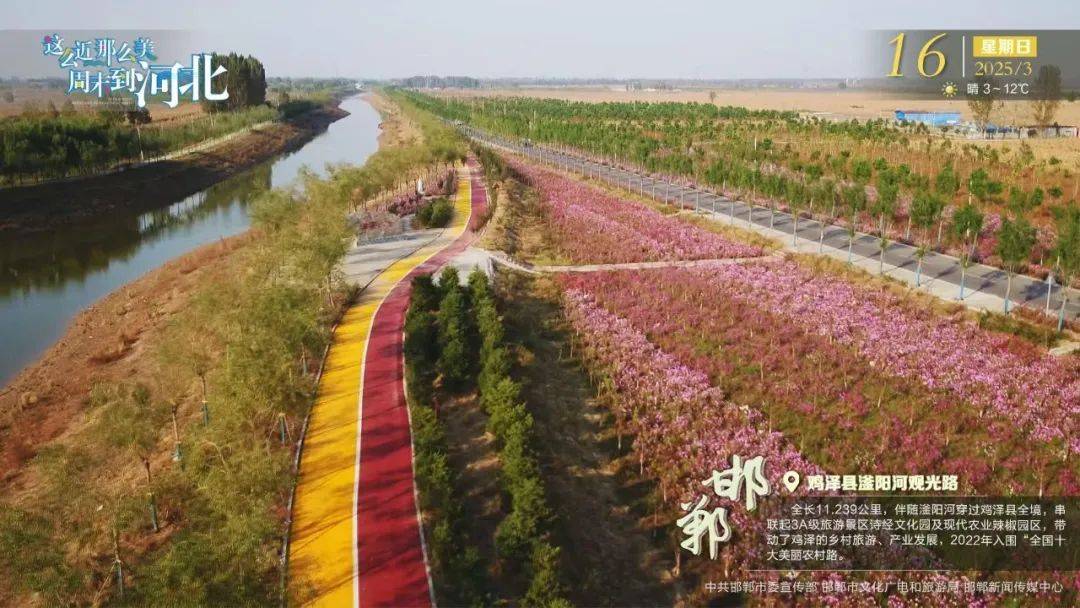 2024年考古大发现！北响堂山石窟遗址出土珍贵遗物