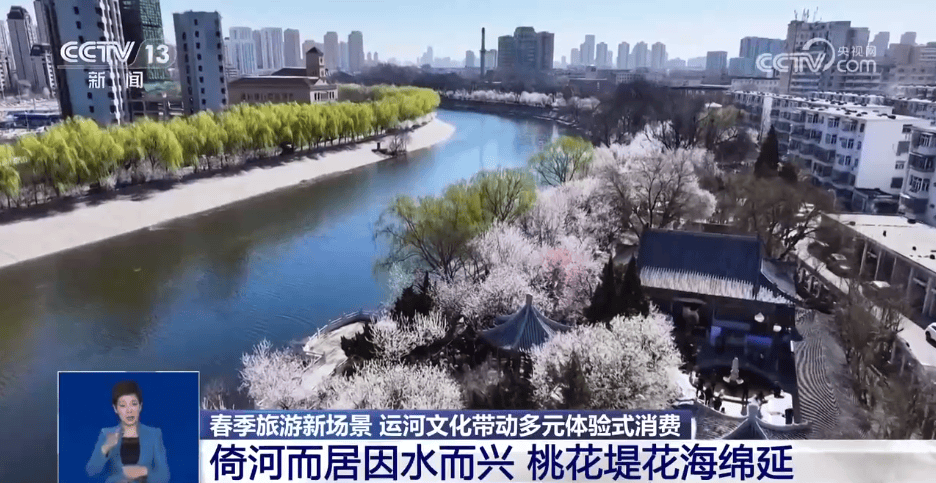 春日运河游：邂逅多元文化体验
