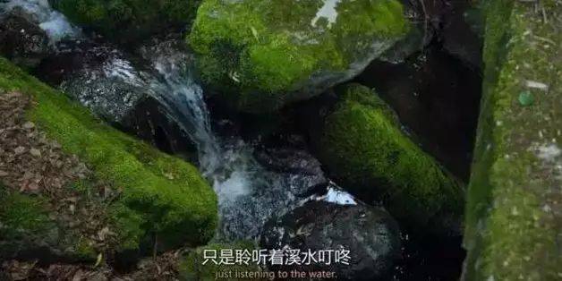 青灯古佛下的素食盛宴：59 岁尼姑的精神追求
