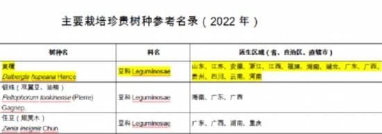 漫步申城，探寻古树名木背后的历史与价值 3 月 15 日开启古树保护新篇章，上海古树魅力等你发现