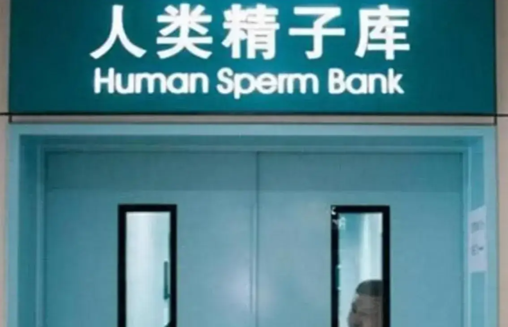 地下捐精乱象丛生，求子家庭该何去何从？