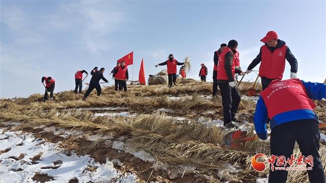 2025年凉州区春季义务压沙：干部职工共筑绿色防线，凉州区：2025年春季义务压沙，践行新时代武威精神