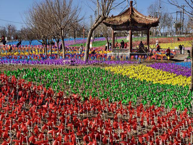 1. 春分时节，北京中华名枣园50万支风车打造梦幻乡村漫步之旅！ 2. 惊！丰台北宫镇中华名枣园用风车海洋开启春日狂欢！