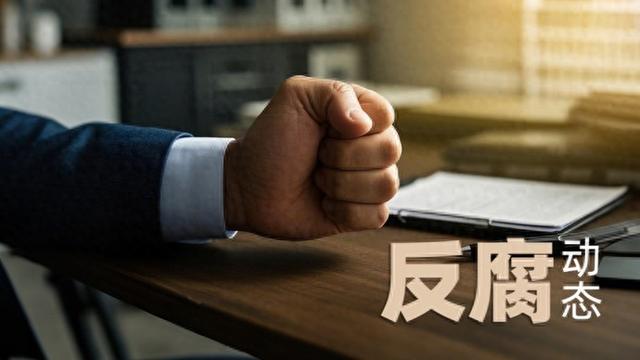 海南省人大常委会原副主任刘星泰，受贿指控终进司法程序，海南省人大原副书记、副主任刘星泰受贿案提起公诉引关注