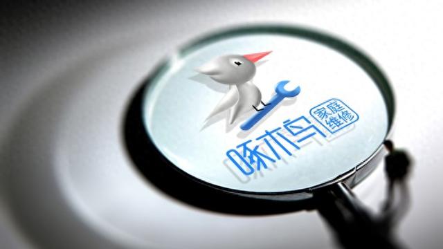 啄木鸟承诺落空，整改敷衍何时休？，啄木鸟整改失约，诚信危机凸显？