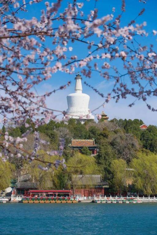 5. 北京春日打卡指南：花景与国潮的双重诱惑