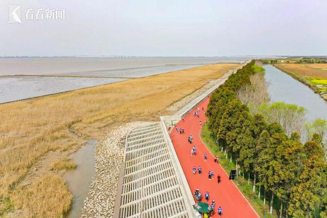生态为核，科技助力！2025上海长江半程马拉松精彩收官 2025上海长江半马：生态与速度的激情碰撞！