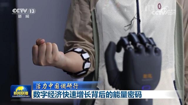 杭州电力：为数字经济高质量发展筑牢根基 浙江数字经济蓬勃发展，电力供应开启新征程