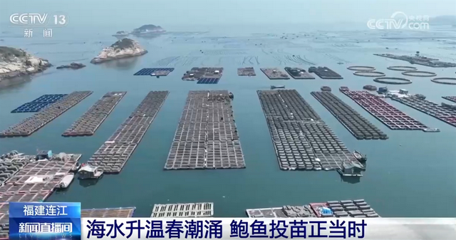 春播进行时：从贵州土豆到福建鲍鱼的农业盛景，春播正当时，各地农业生产活力足