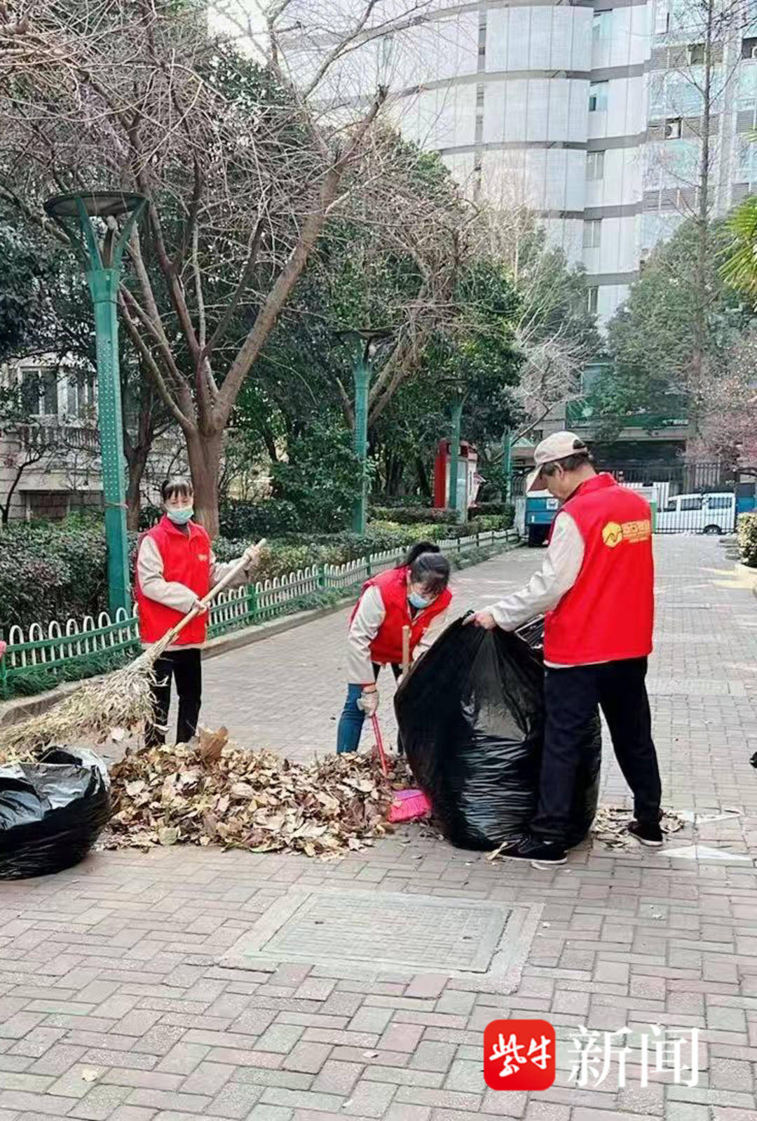 南京金贸花园小区：历经波折成功换物业，开启美好新篇