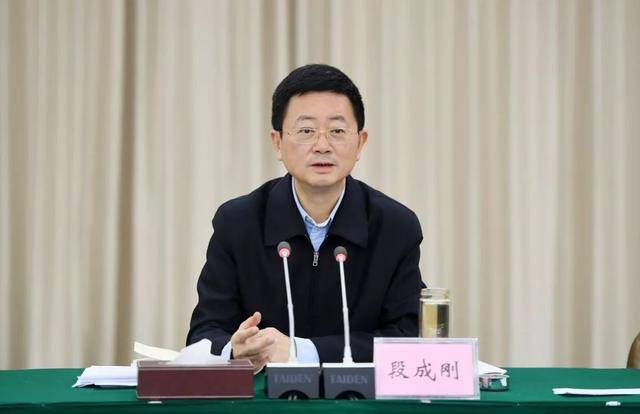 重庆官员段成刚：履历背后的严重违纪违法风波