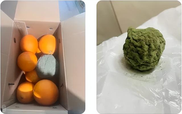 惊！发霉橘子竟成“天价商品”，背后真相大揭秘，从发霉橘子交易看科研与生活的奇妙关联