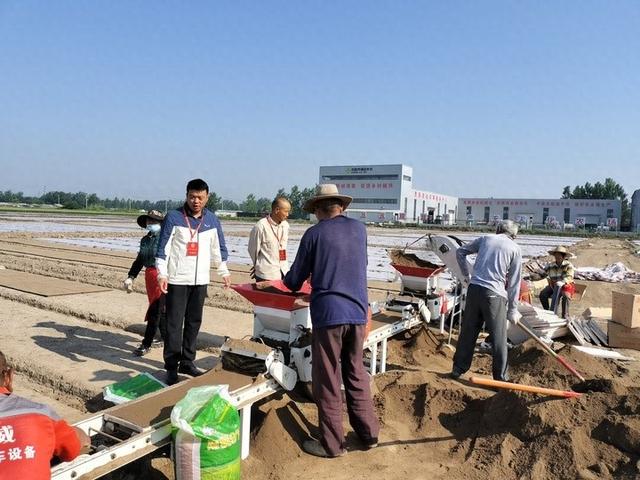 邳州合作社：农业现代化的践行者，贾强与他的机插秧合作社：助力粮食保障