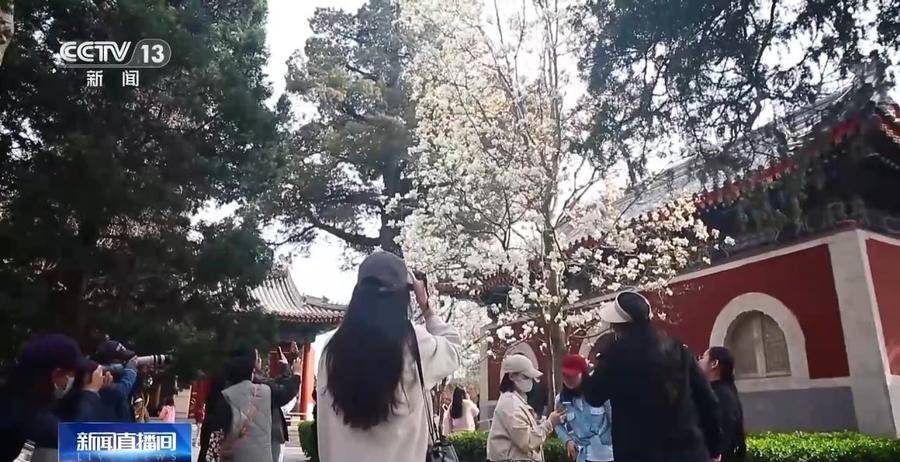 文创点亮春日，多地特色产品大揭秘