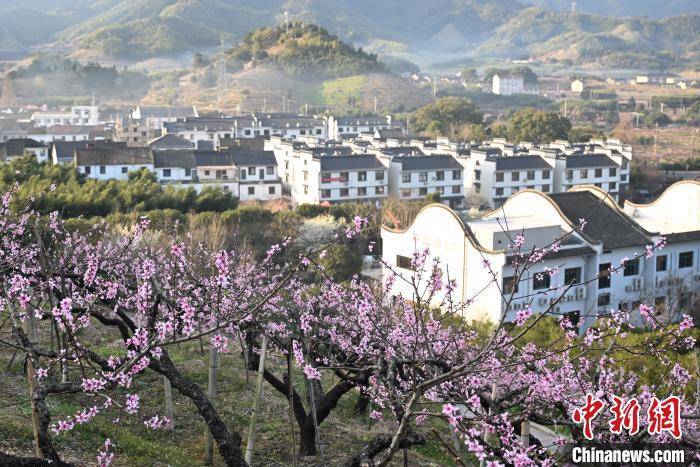 “中国水蜜桃之乡”奉化，桃花烂漫引游人，走进奉化桃园，感受桃花盛开的魅力
