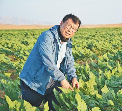 力学专家跨界，在沙漠播撒绿色希望