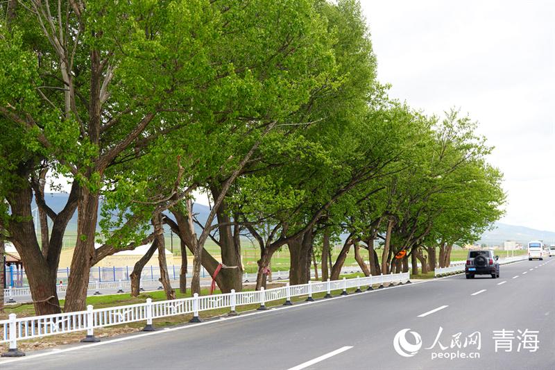 2024年青海：生态旅游的多元发展之路，看2024年青海，生态旅游如何大放异彩
