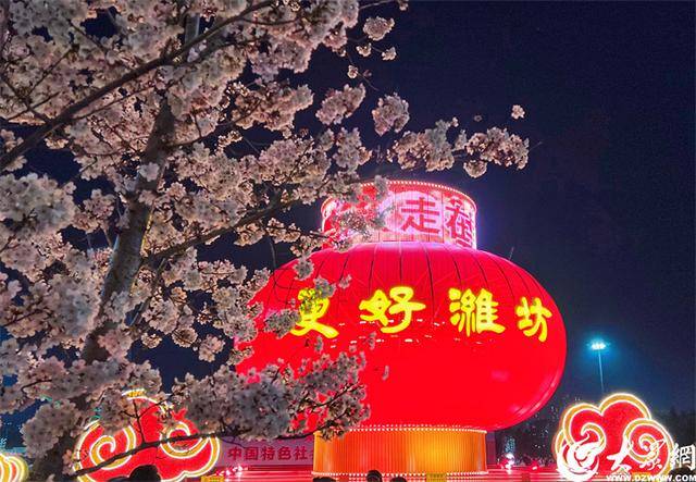 大众拍客带你领略潍坊别样之美 潍坊樱花季，大众拍客镜头下的粉色童话