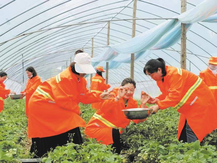 90后草莓夫妻的爱心接力，温暖城市角落，爱心草莓传递温暖，90后夫妻善举暖江城