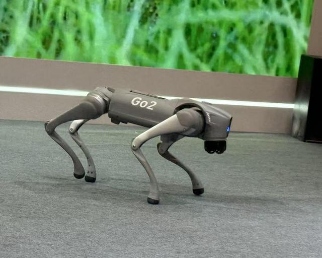 AWE2025：AI风暴来袭，家电与消费电子的变革之旅 AWE2025：见证“万物皆AI”，家电与消费电子的创新奇迹