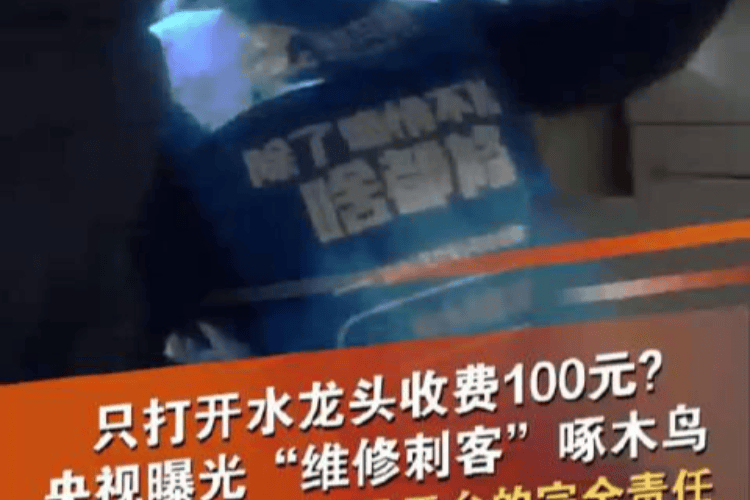 啄木鸟家庭维修：“公关秀”背后的诚信崩塌与监管之痛！ 啄木鸟家庭维修：“放弃公关”闹剧，诚信缺失难掩！
