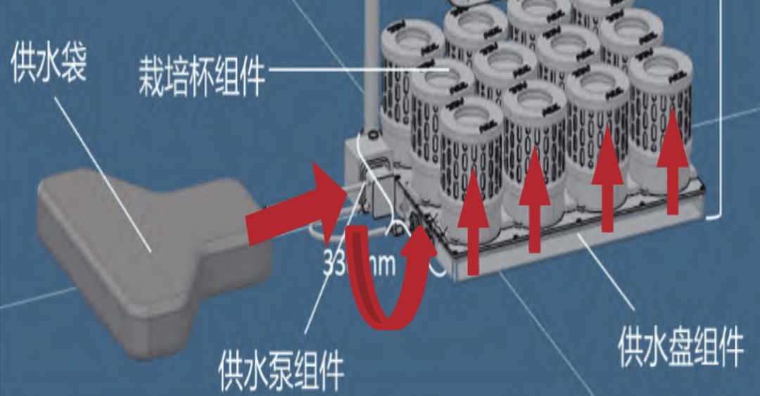 太空菜园：开启航天饮食新“食”光 太空种菜：为航天员打造“绿色家园”