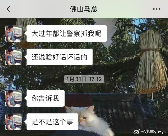 女甲球员薛家兴自述：遭俱乐部老板殴打背后的纠葛，女甲球员薛家兴：佛山三水铁牛竞技俱乐部老板的暴力与争议