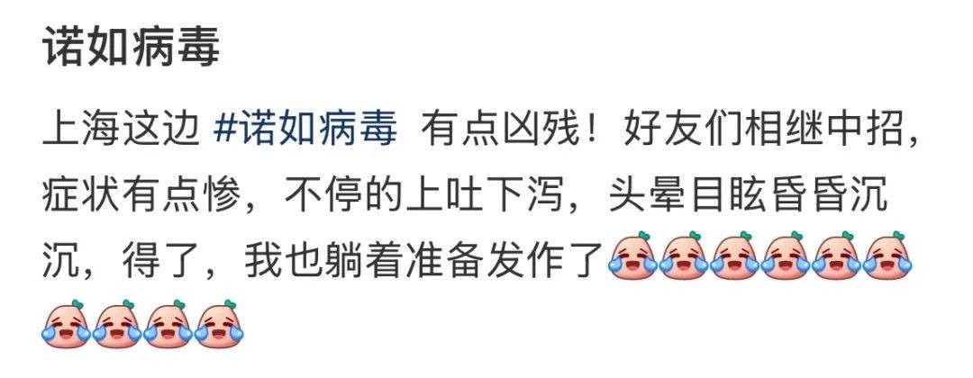 草莓季，专家为你破解“草莓瘟”谣言并教你防诺如 春日草莓盛宴：真相与诺如病毒预防全揭秘