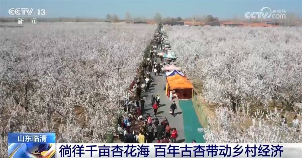 春日繁花盛，“赏花游”激活春日经济热潮 缤纷春花绽放，“赏花游”助力春日经济升温