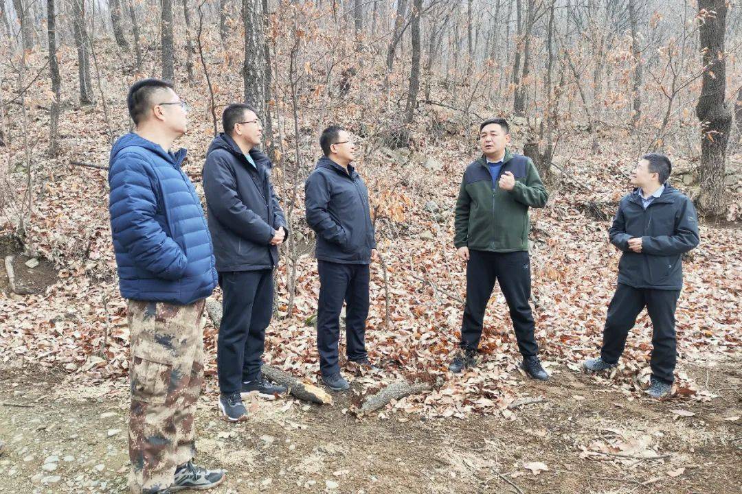 科技引擎驱动，山西中条林局林业发展迈向新高度