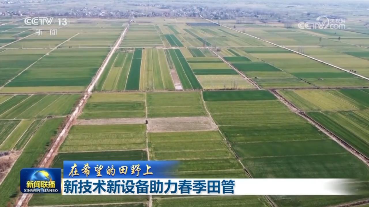 冬小麦返青期和早稻育秧期：看田间管理如何借助新科技，科技助力：冬小麦返青、早稻育秧田间管理的新突破