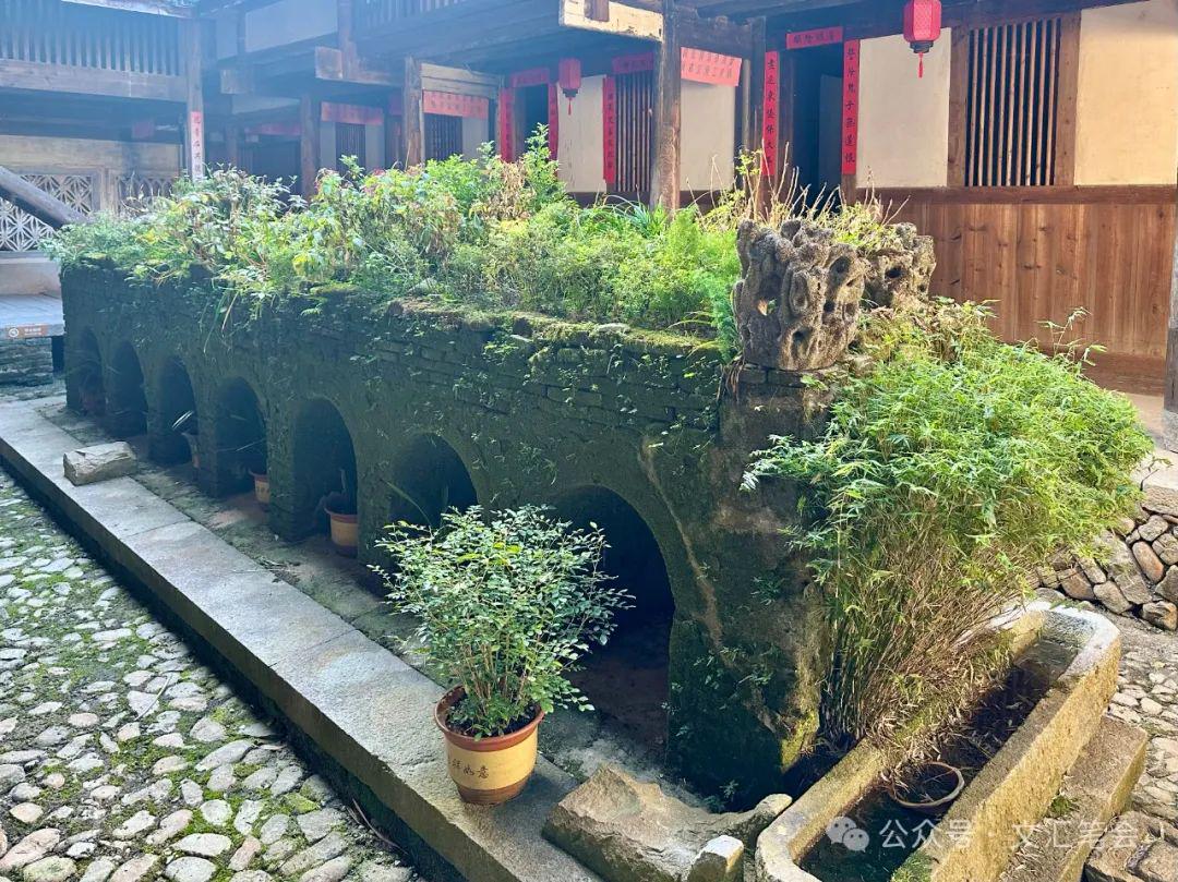 宏琳厝：深宅迷宫里的古花台与老黄的养花世界，蛇年大年初一，走进宏琳厝感受深宅与别样之美