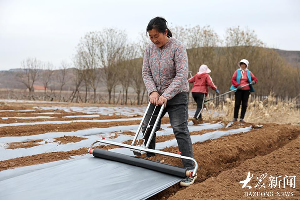 果农吕玉霞：用“土味诗歌”打破生活枷锁，绽放乡村光芒