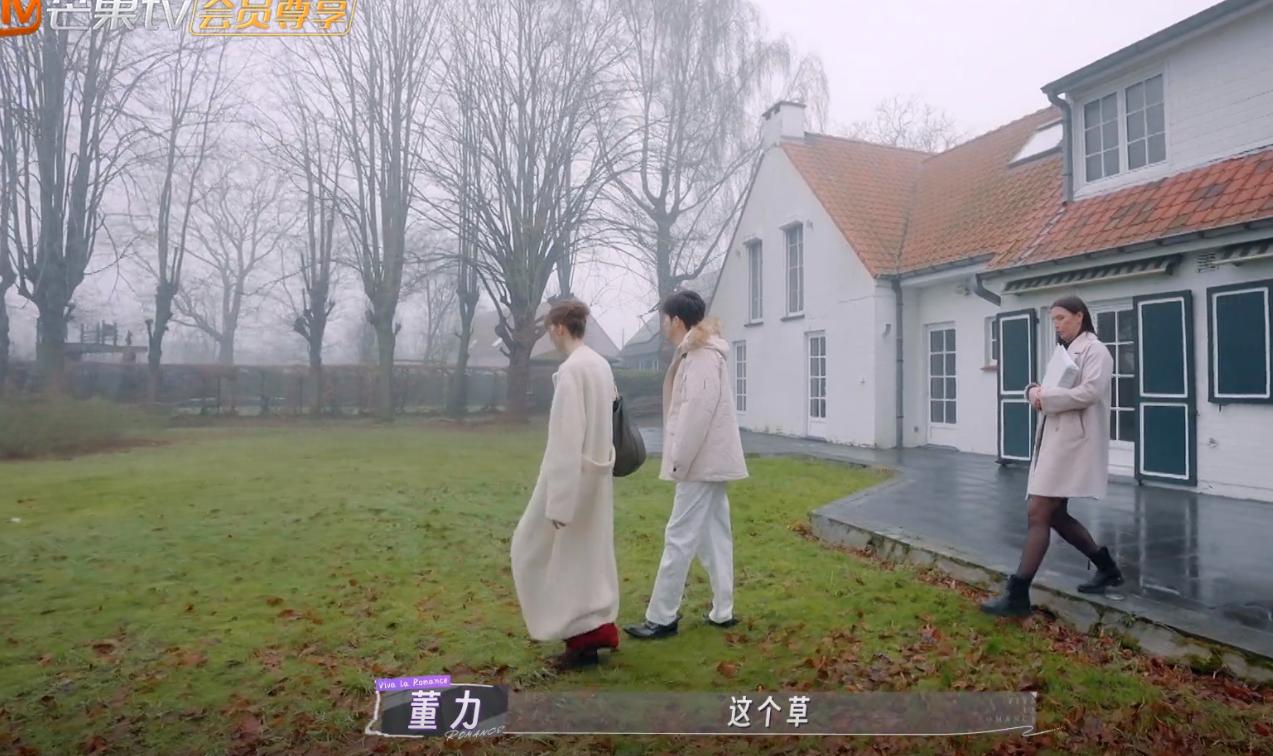 阿诺与董力：比利时买房背后的婚姻真相