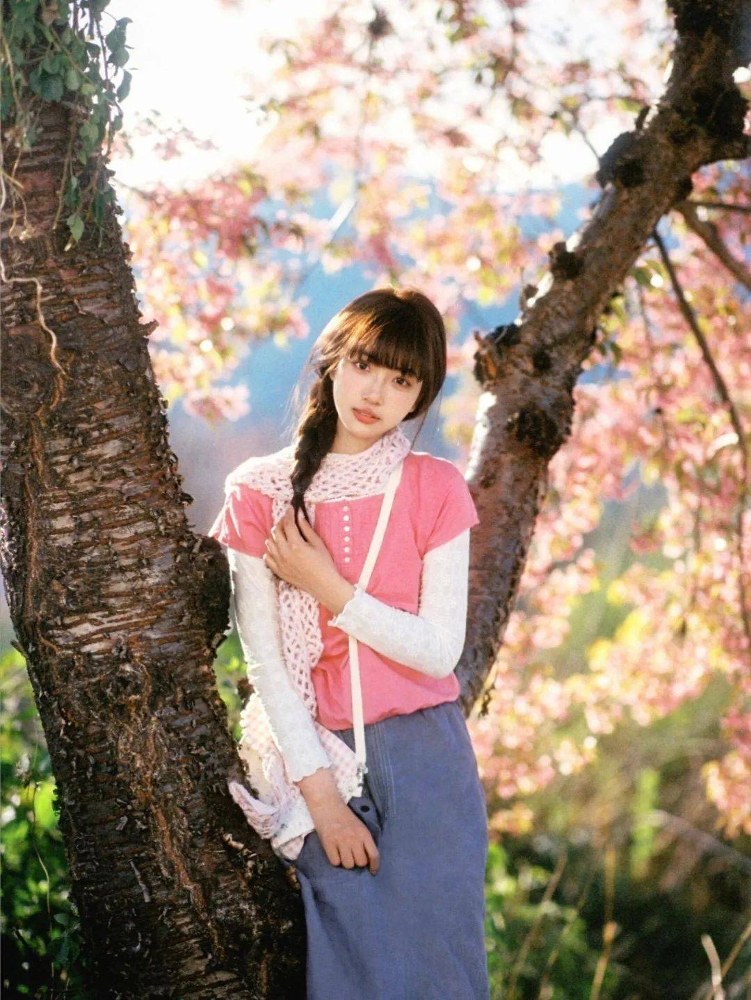 大理樱花树下，模特与美景成就浪漫写真 大理樱花写真，带你邂逅绝美春日