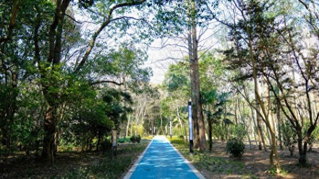 金山石化街道：以党建之笔勾勒社区幸福蓝图